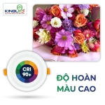 Đèn LED âm trần DIAMOND mặt sâu 10W DDLS-10SS-T105-DM kingled chính hãng